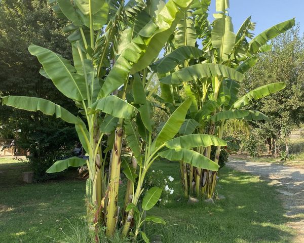 11786 Walmort Rd, Wilton, CA 95693