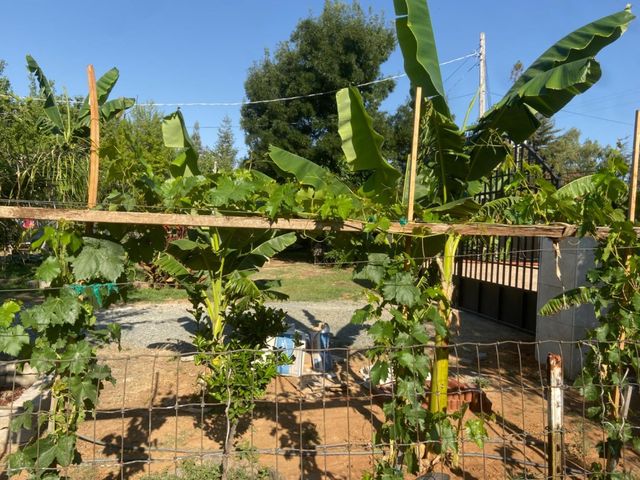 11786 Walmort Rd, Wilton, CA 95693