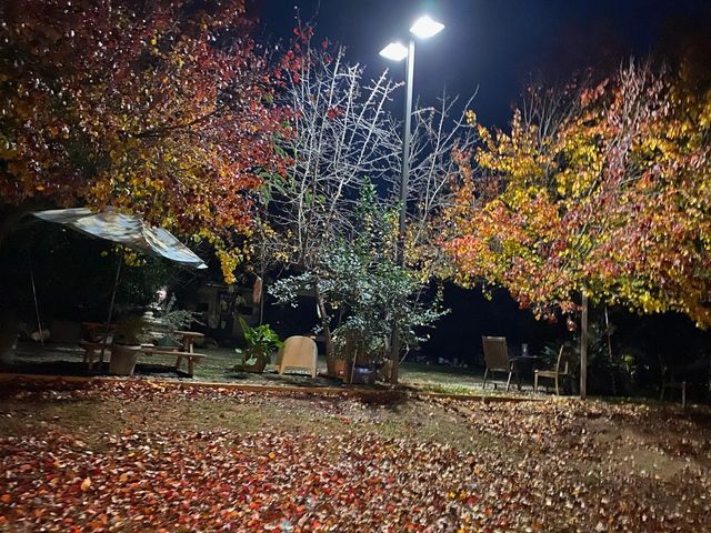 11786 Walmort Rd, Wilton, CA 95693