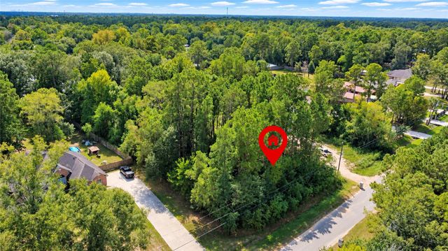 19578 Desna Drive, Porter, TX 77365