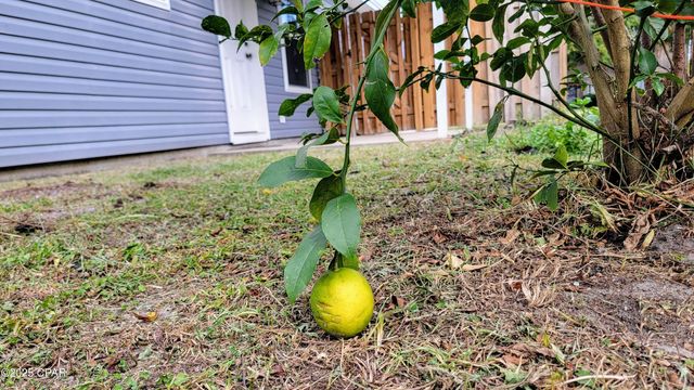 1545 Chandlee Avenue, Panama City, FL 32405