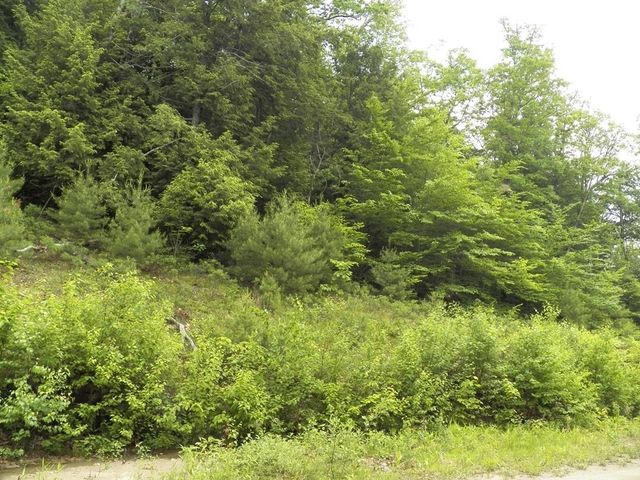 230-021 Thurlow Street, Plymouth, NH 03264