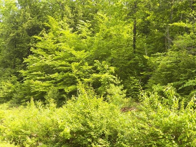 230-021 Thurlow Street, Plymouth, NH 03264