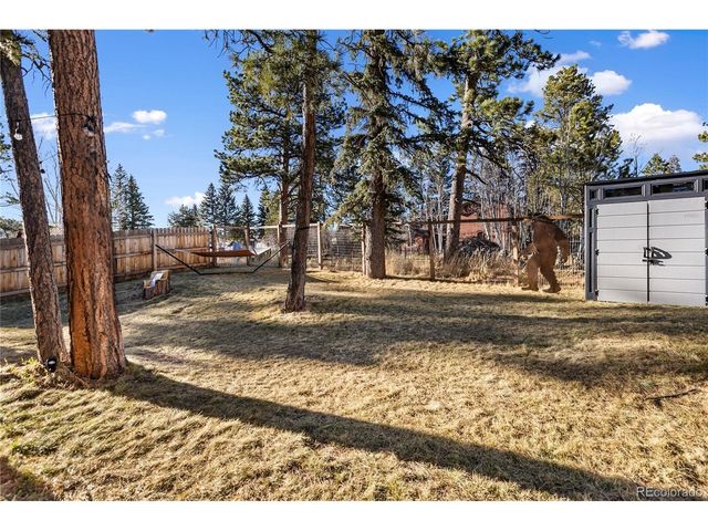 118 E Chester Ave, Woodland Park, CO 80863