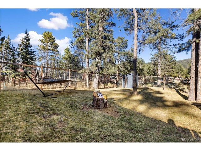 118 E Chester Ave, Woodland Park, CO 80863