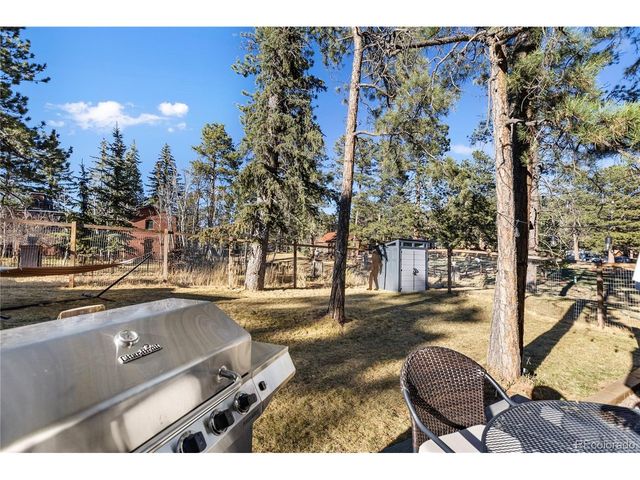 118 E Chester Ave, Woodland Park, CO 80863