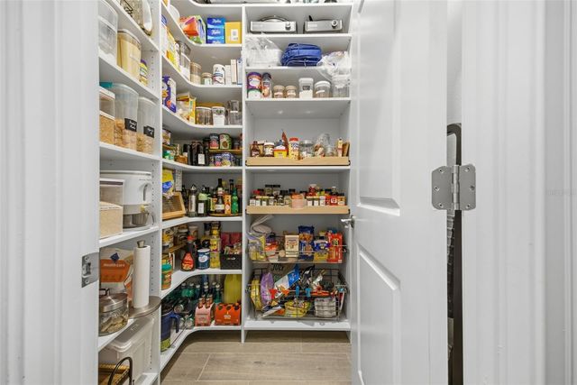 9845 SWORD FERN WAY, Land O Lakes, FL 34637