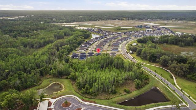 9845 SWORD FERN WAY, Land O Lakes, FL 34637