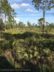 10804 Bending Oak Drive, Sebring, FL 33875