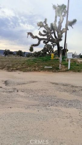 51 W VIC Ave 51st STW AVE K-2, Quartz Hill, CA 93536