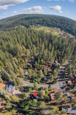 1578 Gloria Dr, Arnold, CA 95223