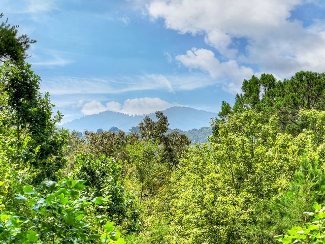 110 Bear Pause Road, Morganton, GA 30560