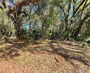 GUAVA TERRACE, Ocklawaha, FL 32179