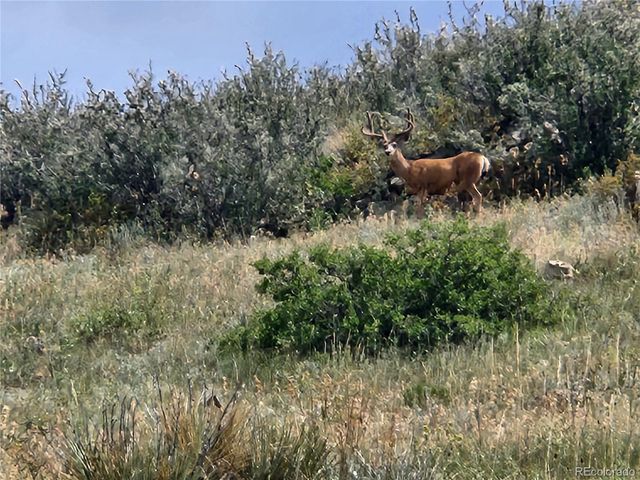 5040 Pine Ridge Road, Golden, CO 80403