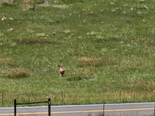 5040 Pine Ridge Road, Golden, CO 80403