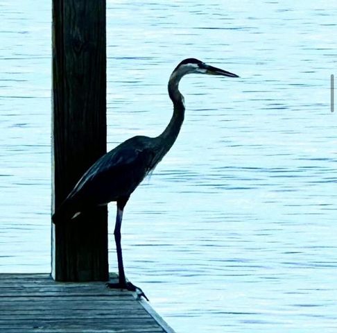 15145 Marina Drive, Conroe, TX 77356