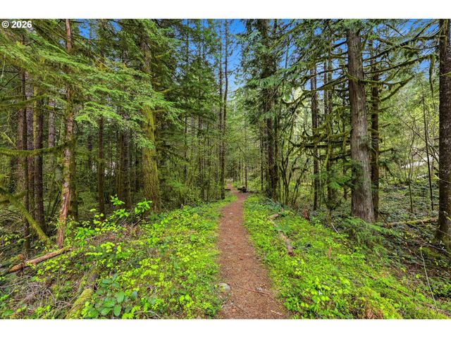 72430 E SMITH Loop, Rhododendron, OR 97049