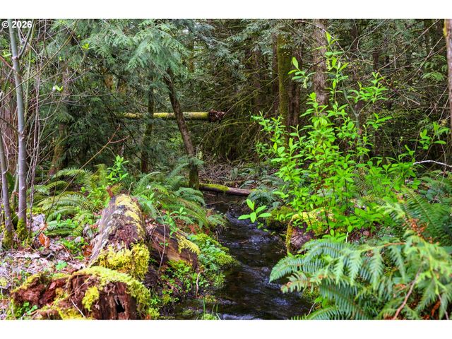 72430 E SMITH Loop, Rhododendron, OR 97049
