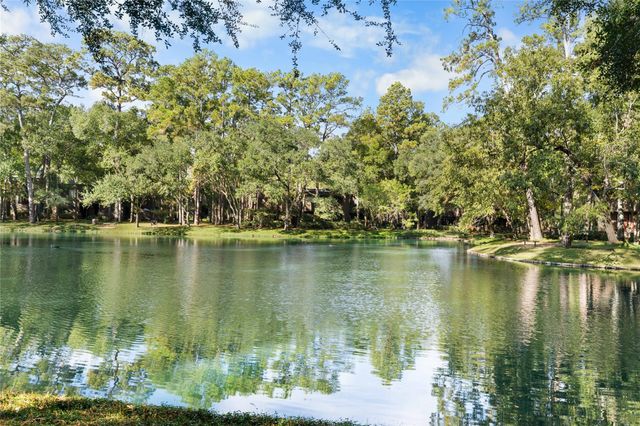 336 Litchfield Lane, Houston, TX 77024