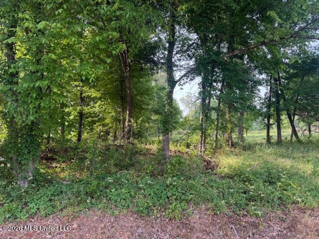 Lot 1 Slocum Road, Hernando, MS 38632 — exterior