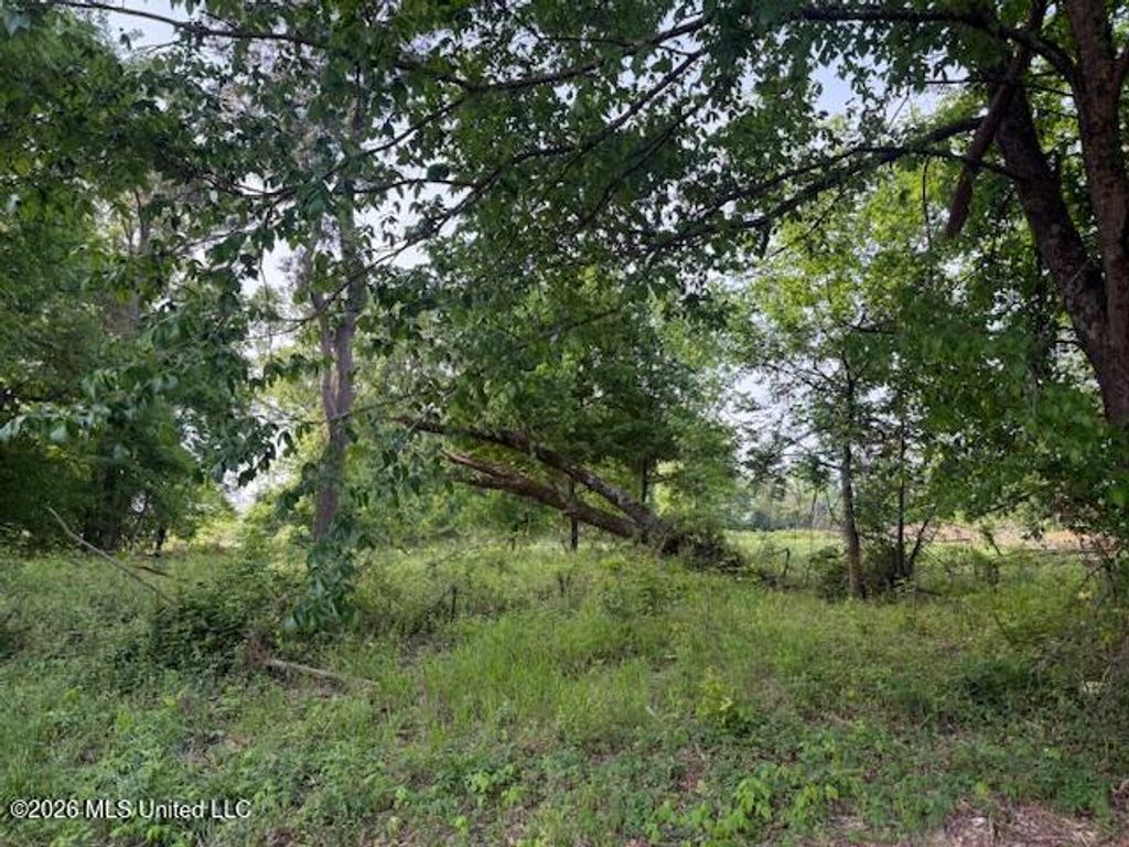 Lot 1 Slocum Road, Hernando, MS 38632 — photo 2