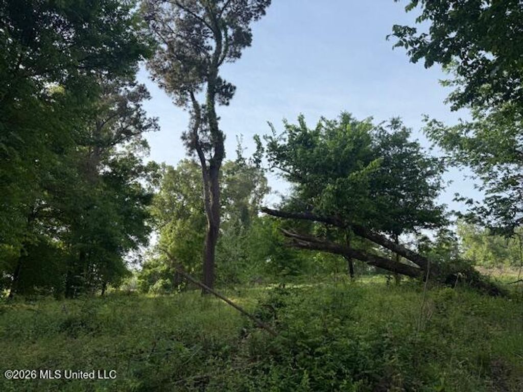 Lot 1 Slocum Road, Hernando, MS 38632 — photo 3