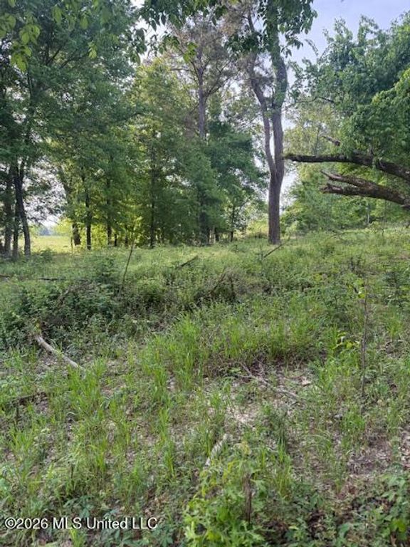 Lot 1 Slocum Road, Hernando, MS 38632 — photo 4