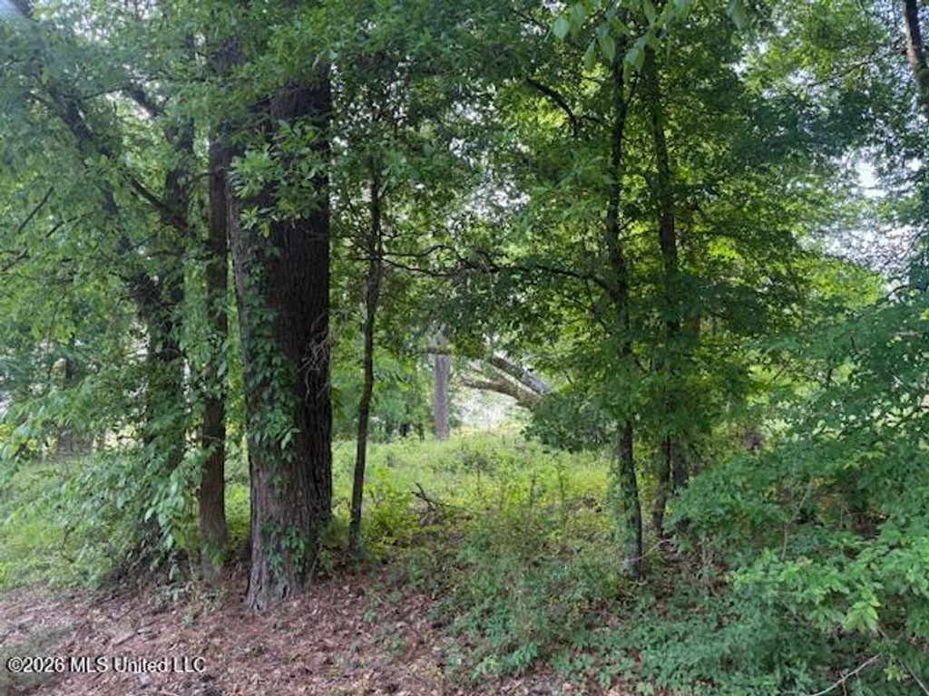 Lot 1 Slocum Road, Hernando, MS 38632 — photo 5