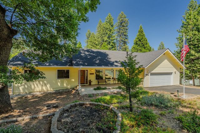 25675 Alta Vista Ct, Pioneer, CA 95666