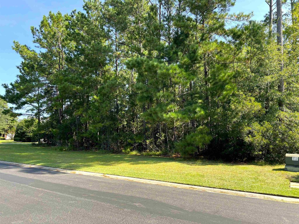 TBD Creek Harbour Circle, Murrells Inlet, SC 29576 — photo 2