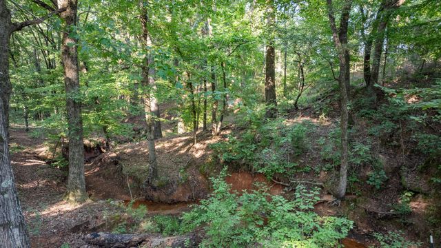 17109 Lux Mundi Lot 28, Winona, TX 75792