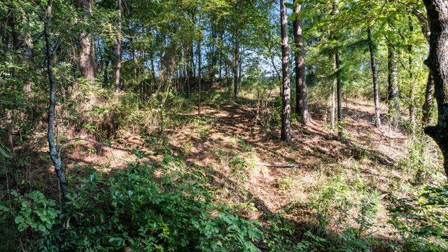 17109 Lux Mundi Lot 28, Winona, TX 75792