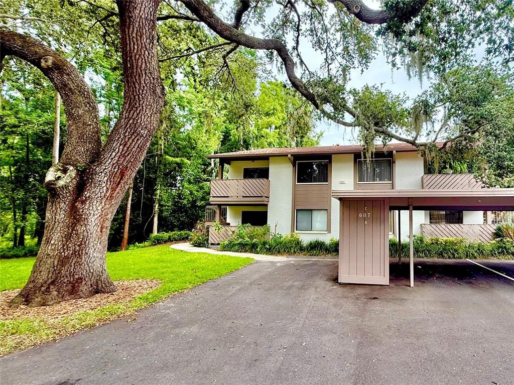 607 SUMMERHILL COURT C, Safety Harbor, FL 34695