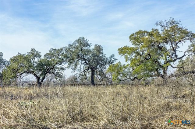 600 River Road, Martindale, TX 78655