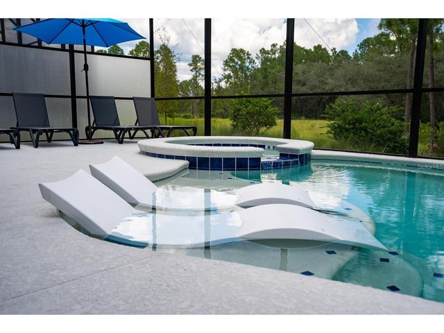 1443 BUTTERFLY MILKWEED COURT, Davenport, FL 33837