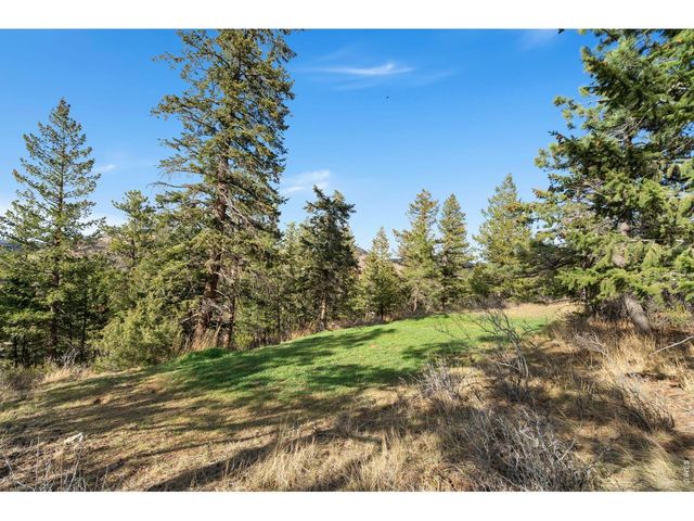 801 Montcalm Dr, Livermore, CO 80536