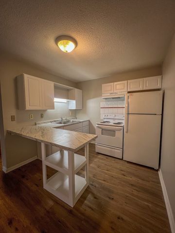 110 Medical Ct Apt 2, Clarksville, TN 37043