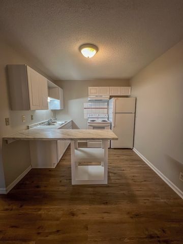 110 Medical Ct Apt 2, Clarksville, TN 37043