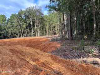 Old River Road, Vancleave, MS 39565