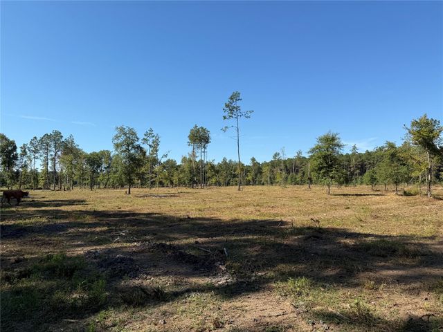 1795 Fm-787, Cleveland, TX 77327