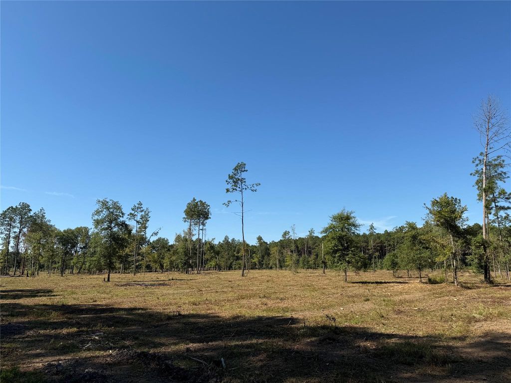 1795 Fm-787, Cleveland, TX 77327