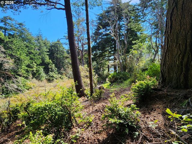 92504 PARADISE POINT Rd, Port Orford, OR 97465