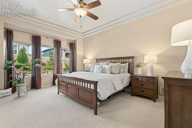 1420 Symphony Heights, Monument, CO 80132