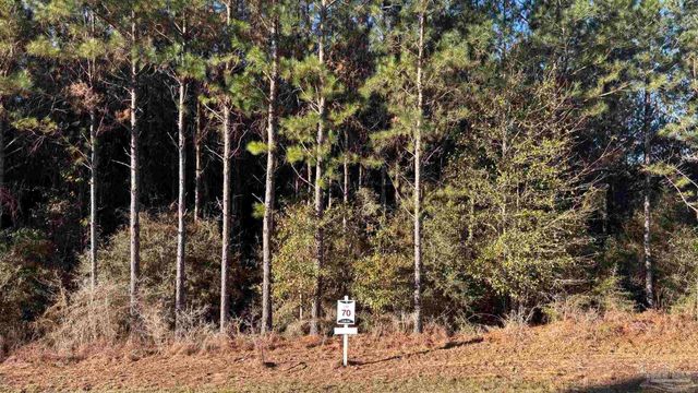 lot 70 Straw Bridge Rd, Allentown, FL 32565