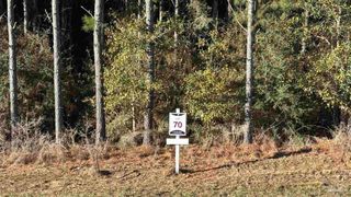 lot 70 Straw Bridge Rd, Allentown, FL 32565