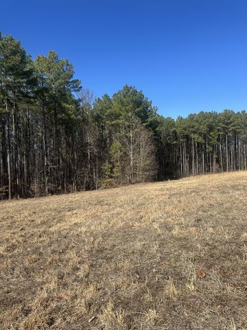 1970 Shores Trl, Stewart, TN 37175