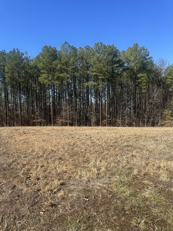 1970 Shores Trl, Stewart, TN 37175