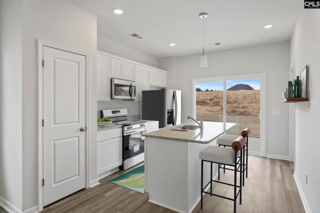 228 Laurinton Farms Drive, Hopkins, SC 29061