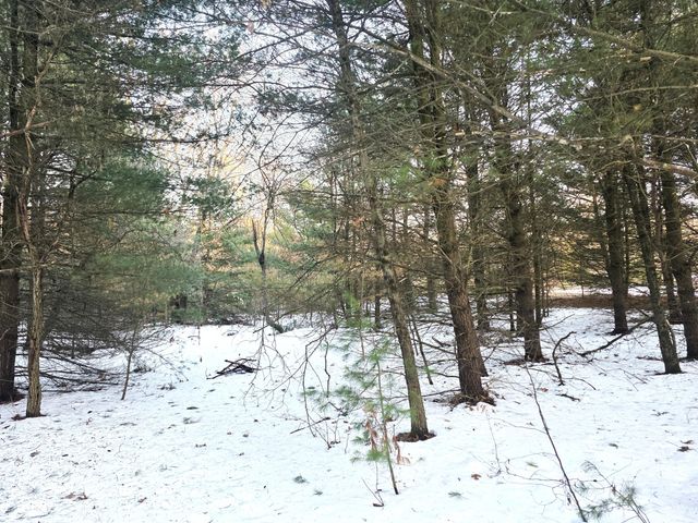 3696 S Locust Avenue, Newaygo, MI 49337