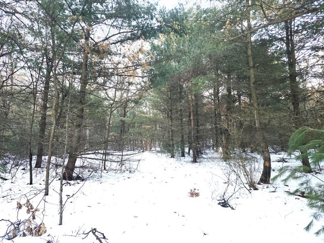 3696 S Locust Avenue, Newaygo, MI 49337